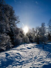 Winter Landscapellnora Nature Reserve Featuring
