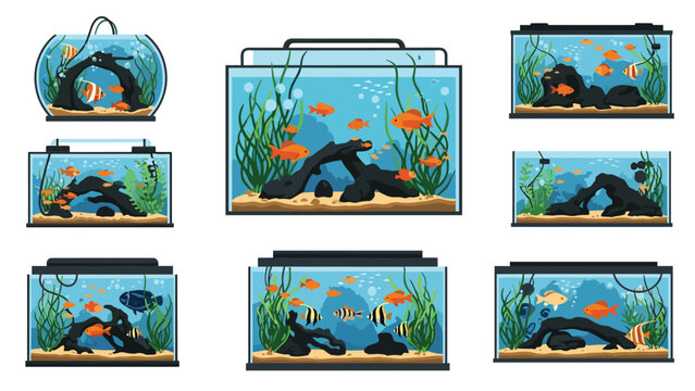 Collection of different shaped glass aquariums filled with colorful tropical fish green plants rocks and decorative driftwood on white background.