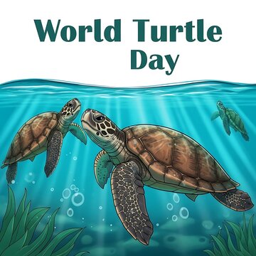 Turtles swimming in ocean water World Turtle Day.