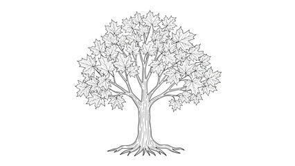 Obraz premium Detailed black and white ink drawing of a large maple tree with full foliage and intricate root system on a clean white background.