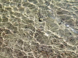 underwater landscape, the water glistens, revealing a sandy bottom that reflects sunlight and unveils small pebbles below