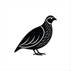 Obraz premium Minimalist Gamebird Silhouette Vector Set - Pheasant and Quail.eps