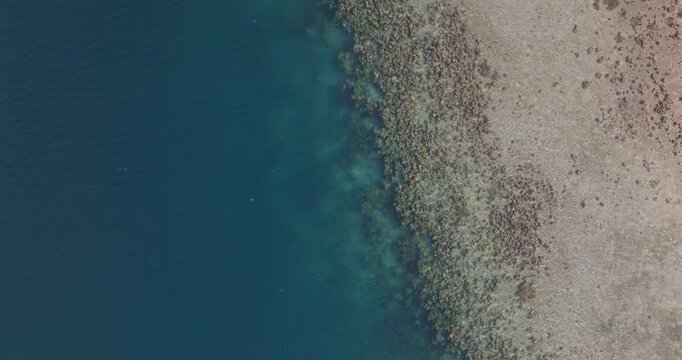 Top-down aerial drone view of coral reef meeting turquoise ocean along West Bali National Park coastline, Indonesia. Tropical marine ecosystem, shallow water patterns and nature background