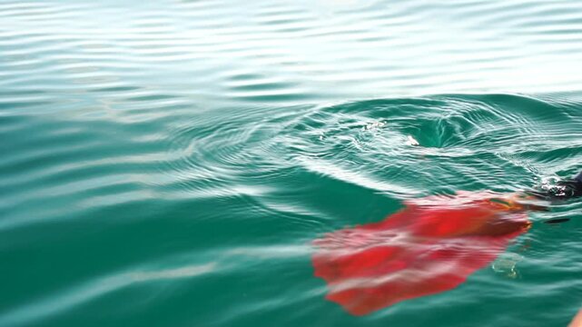 Kayak paddle, water, ocean turquoise paddle dipping into calm blue-green water creating ripples and splashes in peaceful nature