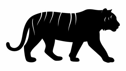 Obraz premium Majestic tiger walking in profile view with elegant stripes