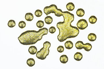 Gocce di glitter dorato su sfondo bianco 