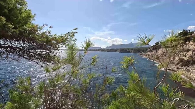 Pinos mediterr&aacute;neos enmarcando la cala de Cap Blanc