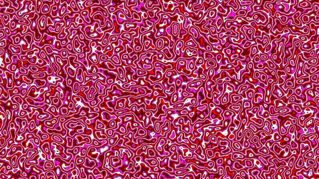 Crimson Pink Organic Wavy Stripe Pattern Psychedelic Background Video