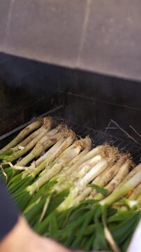 Authentic fresh cal&ccedil;ots or Catalan onions placed on a metal grill where the chef places it on a rustic brick barbecue with firewood starting to burn.
