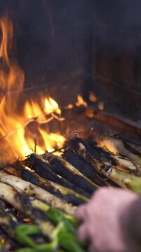 Close-up of the chef's hands tending and placing authentic Catalan cal&ccedil;ots, or spring onions, grilling over intense heat with large flames and embers from a wood fire on a rustic brick barbecue.