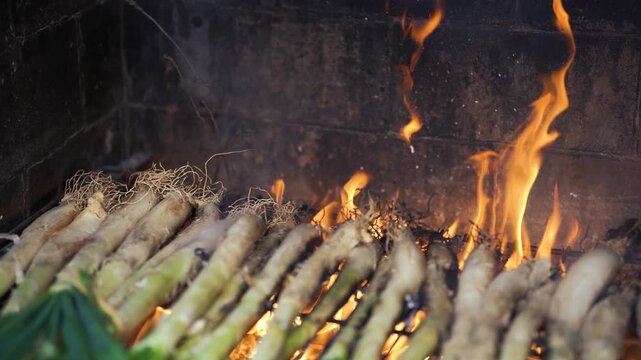 Authentic Catalan cal&ccedil;ots, or Catalan onions, grilling over the vibrant flames of a rustic brick barbecue.