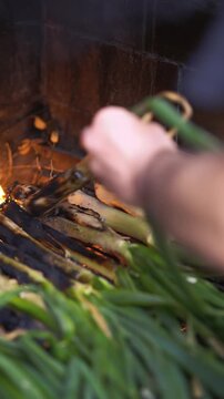 Close-up of the chef's hands tending to authentic Catalan cal&ccedil;ots, or spring onions, grilling over intense heat and hot embers.