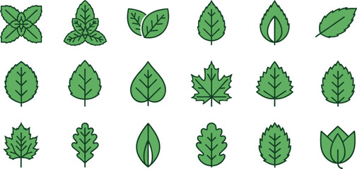 Set of green leaf icons, various foliage symbols, organic botanical vector elements, nature plant shapes, isolated eco friendly garden leaf collection.