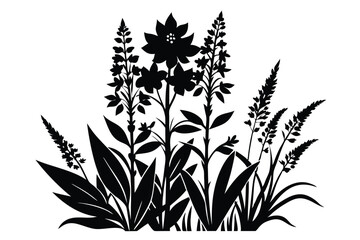 fireweed wild silhouette line art vector illustration