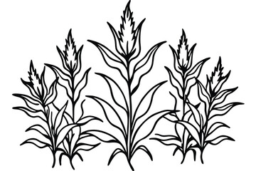 fireweed wild silhouette line art vector illustration