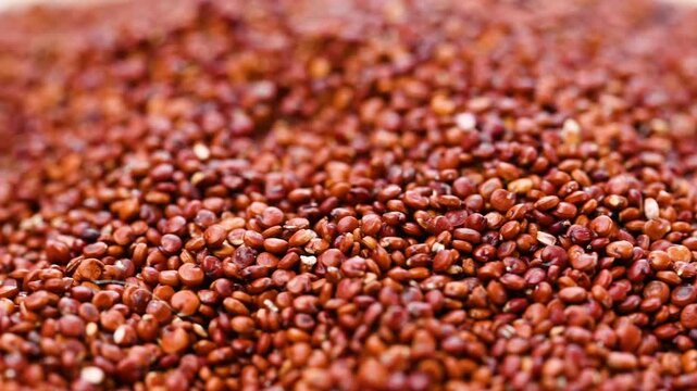 video of red quinoa background