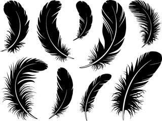 Obraz premium Collection of Black Feather Silhouettes Isolated White Background with Detailed Barbs