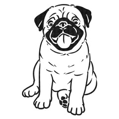 Obraz premium Pug Dog Breed Charcoal Line Art Illustration