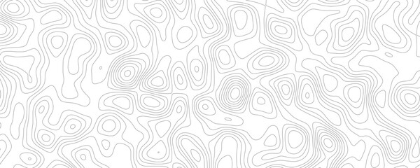 Abstract geographic contour map background with flowing elevation lines on transparent checkerboard © VxGFX