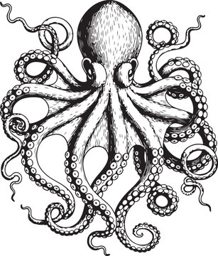 Vintage hand drawn octopus with long tentacles and suckers in nautical marine illustration style for seafood menu or sea theme tattoo design