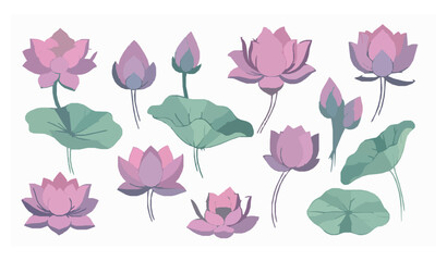 Decorative Lotus Flower and Leaf Vector Collection