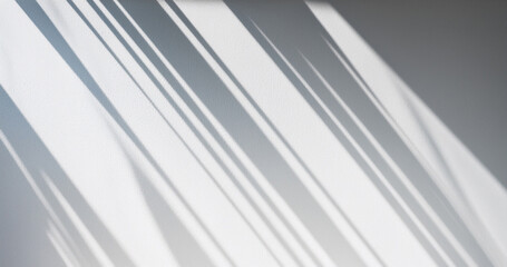 Obraz premium Soft Palm Shadow Pattern on Textured Wall Cast by Sunlight, Minimal Abstract Light and Lines