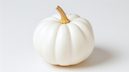 Single white pumpkin isolated on a light background with a brown stem