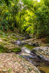 Obraz premium A view down the meandering stream from the Argyle falls in Tobago on a bright day in January