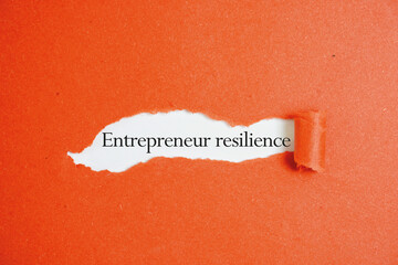 Entrepreneur resilience
