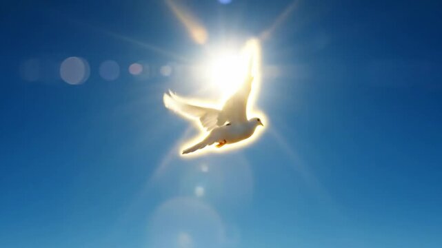 Divine 4K Slow Motion Seamless Loop of a Holy Spirit Dove Flying with Bright Sun Rays