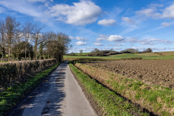 Looking along a narrow country road in Sussex, with a ditch and farmland to one side © lemanieh