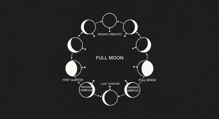 Lunar Cycle Phases Diagram Illustration.