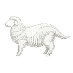 Fototapeta premium Illustration of a sheep with a textured fleece, rendered in a clean, geometric style with subtle shading