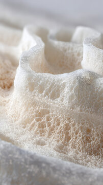 Mycelium bioplastic material has a layered structure that is made of white fibers and has a honeycomb texture that is eco-friendly. It is also a viable packaging material.