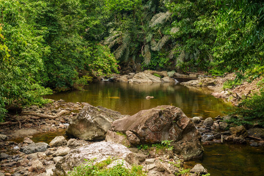 A shallow stream runs through tropical rainforest with large boulders and exposed rocks along the banks. Dense green vegetation surrounds the watercourse.