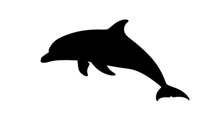 Obraz premium Black silhouette of a dolphin swimming.