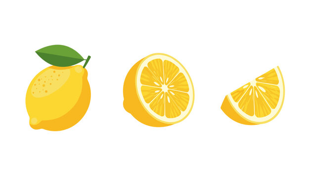 fresh whole lemon with half and quarter slices hand drawn realistic fruit set for food design