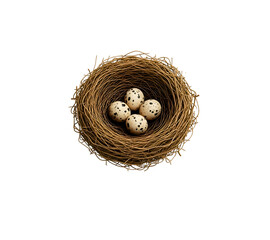 Obraz premium A close-up view of a small bird nest with eggs inside, showcasing nature's intricate details. isolated on transparent background