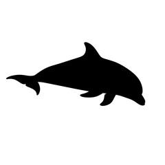 Fototapeta premium Black silhouette of a dolphin swimming.