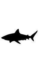 Fototapeta premium Black silhouette of a shark swimming.