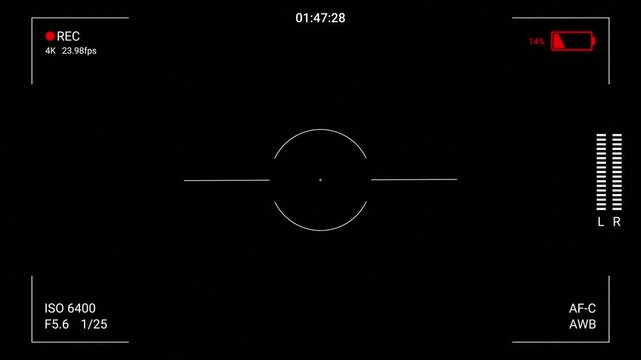 Camera screen with recording timer, battery indicator and audio levels. Found footage mockumentary style with an anxious atmosphere. Realistic handheld movement.