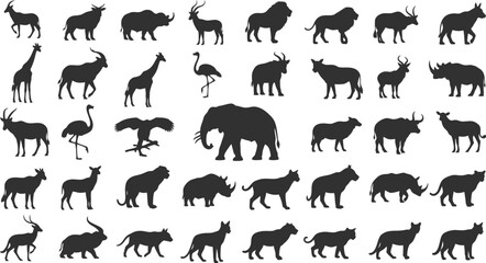 Fototapeta premium Collection of diverse animal silhouettes on white background