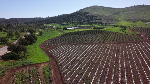 drone footage shows the Jezreel Valley in Israel.
