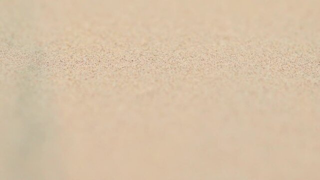 Detailed close-up view of fine golden sand grains forming natural wind-shaped patterns in Thar Desert, Rajasthan, India.