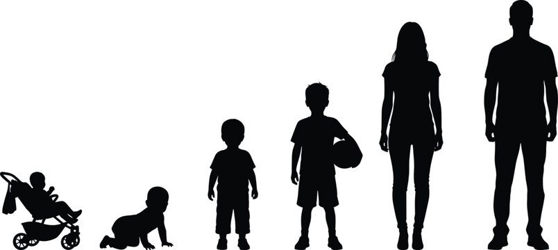Black family silhouette set showing human growth stages from baby in stroller to crawling infant, toddler, child, and adult parents.