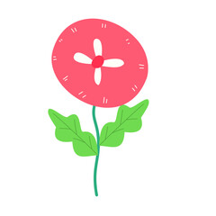 pink flower with green leaves in modern illustration