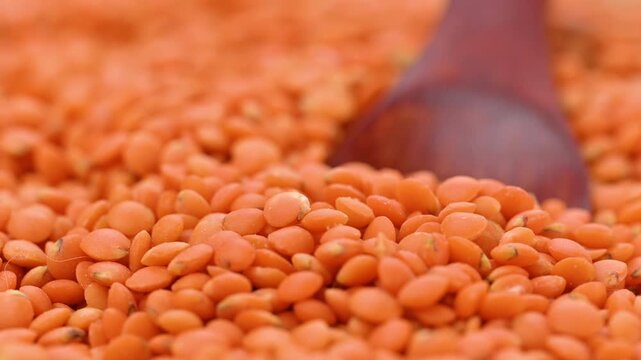 Close-up video of red lentils