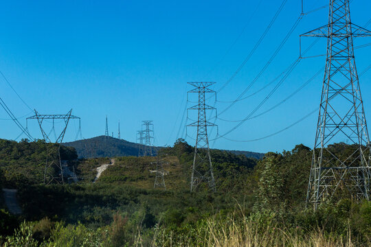 Power poles and lines of energy grid above treetops against bright blue sky