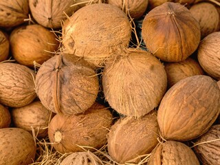 Top view texture of many whole and broken coconuts, high resolution background with exotic tropical fruits, abundance of organic coconut harvest for summer design. © Алина Неборская