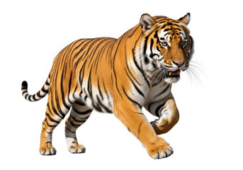 Obraz premium Tiger walking illustration isolated on transparent background
